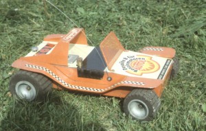 buggy-1.jpg